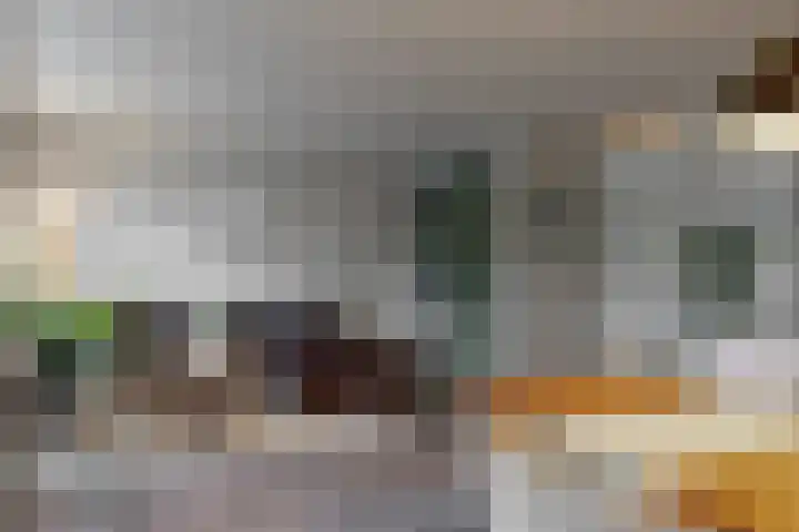 Noordbuurtsehof 30 Zoeterwoude thumbnail 15
