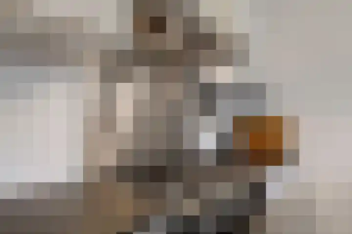 Noordbuurtsehof 30 Zoeterwoude thumbnail 17