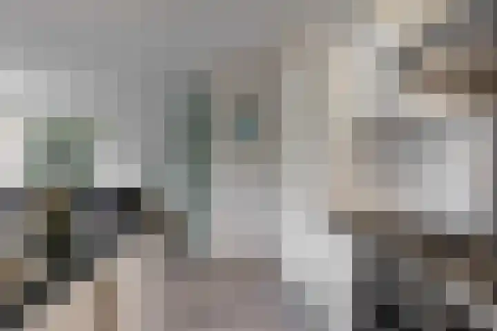 Noordbuurtsehof 30 Zoeterwoude thumbnail 18