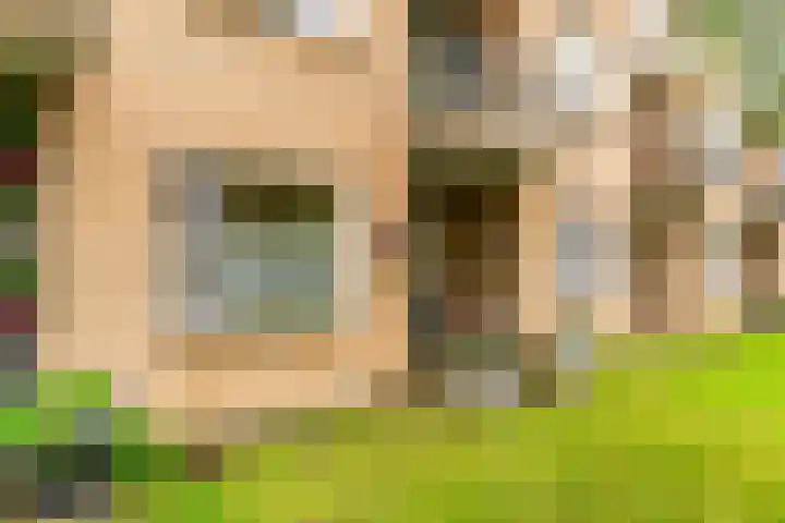 Noordbuurtsehof 30 Zoeterwoude thumbnail 32