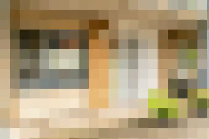 Noordbuurtsehof 30 Zoeterwoude thumbnail 35