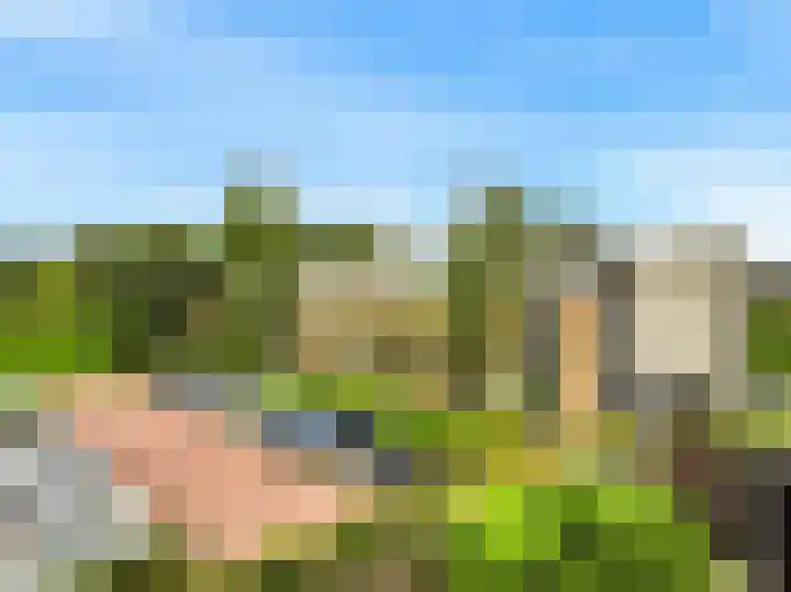 Noordbuurtsehof 30 Zoeterwoude thumbnail 38