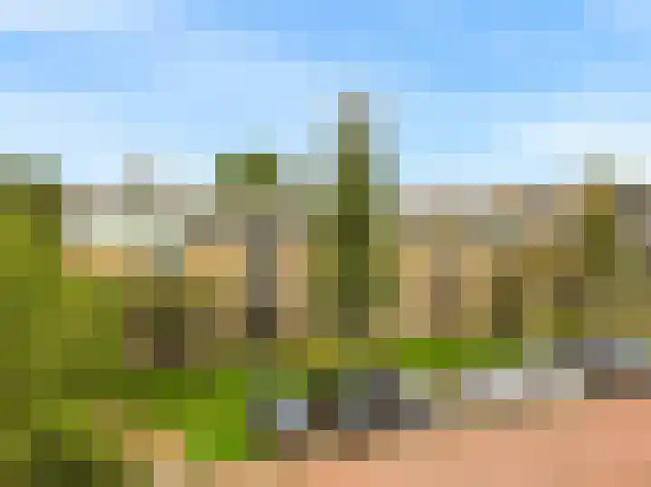 Noordbuurtsehof 30 Zoeterwoude thumbnail 4