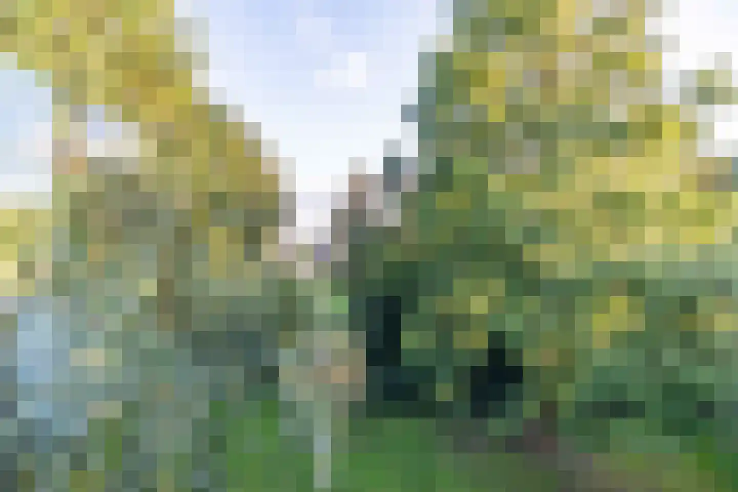 Noordbuurtsehof 52 Zoeterwoude thumbnail 18