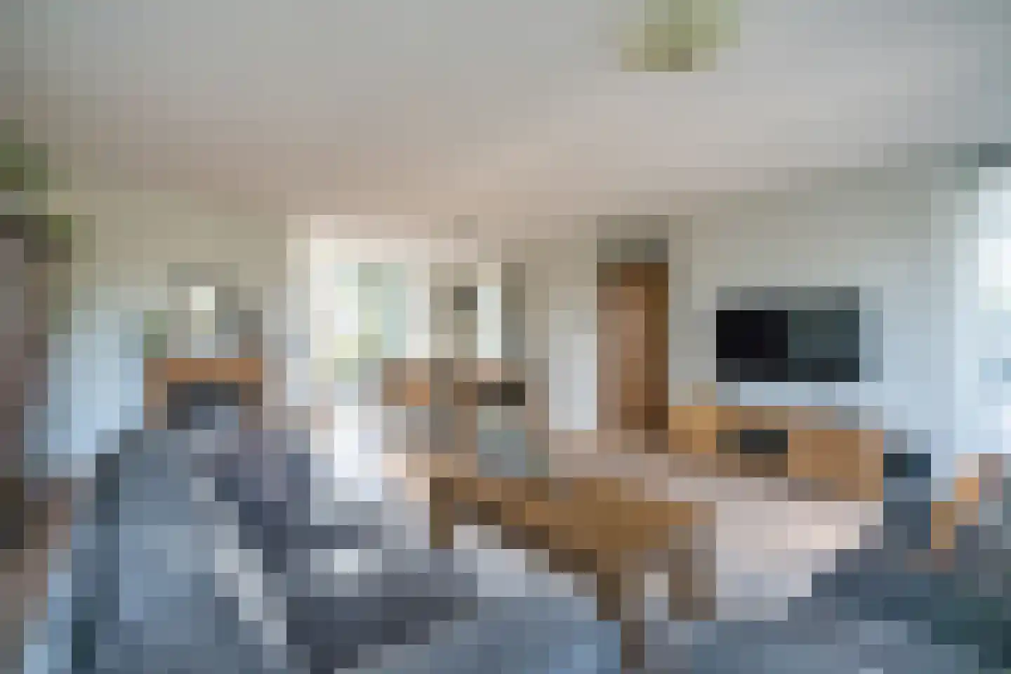 Noordbuurtsehof 52 Zoeterwoude thumbnail 19