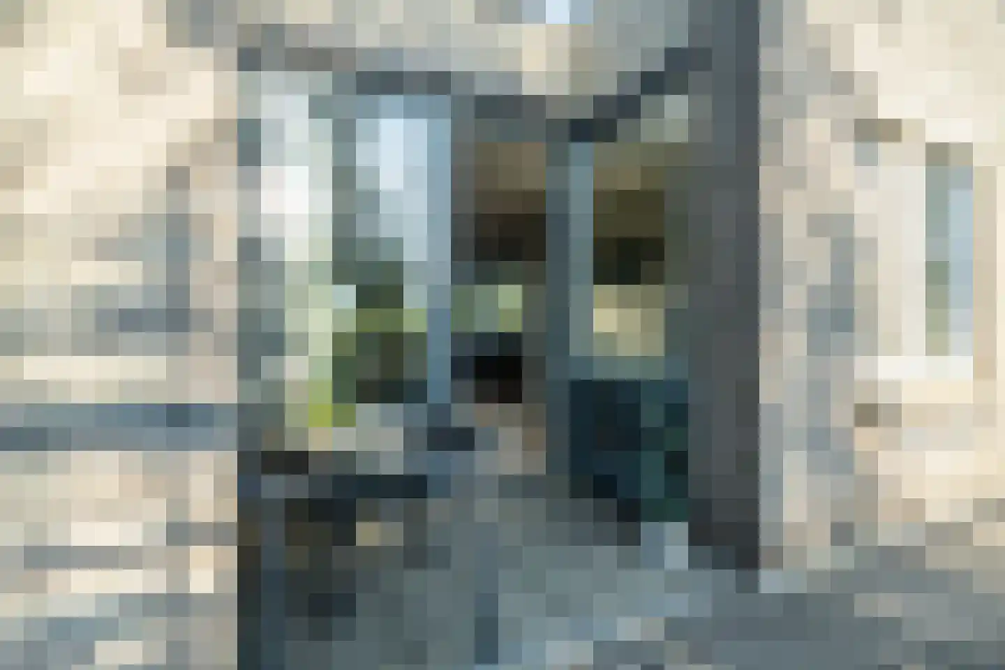 Noordbuurtsehof 52 Zoeterwoude thumbnail 26