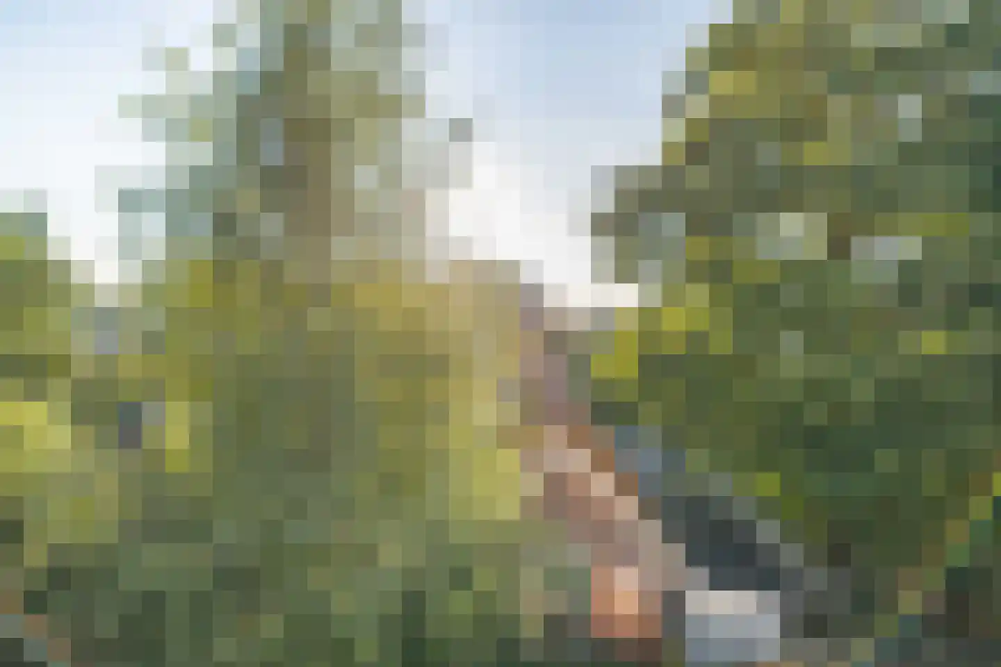 Noordbuurtsehof 52 Zoeterwoude thumbnail 27