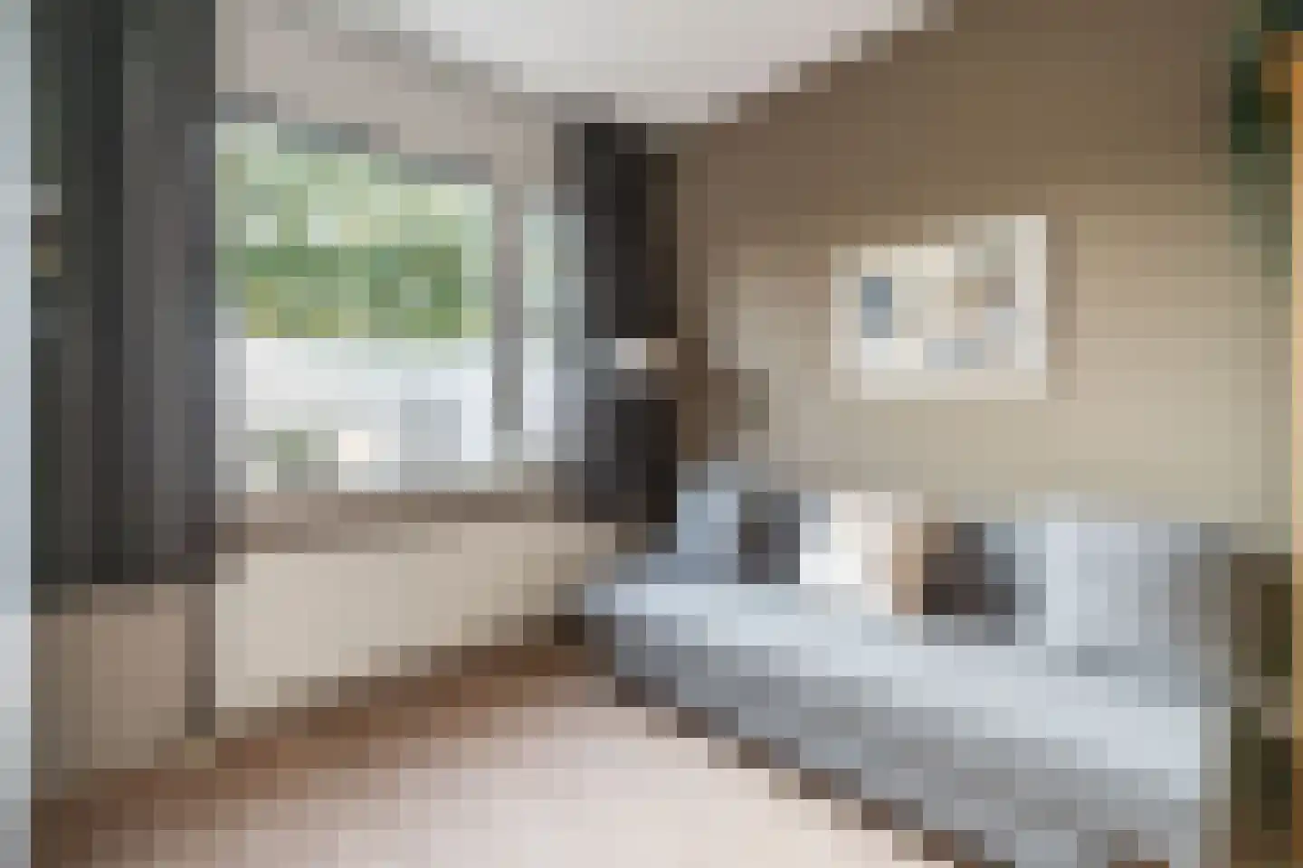 Noordbuurtsehof 52 Zoeterwoude thumbnail 39