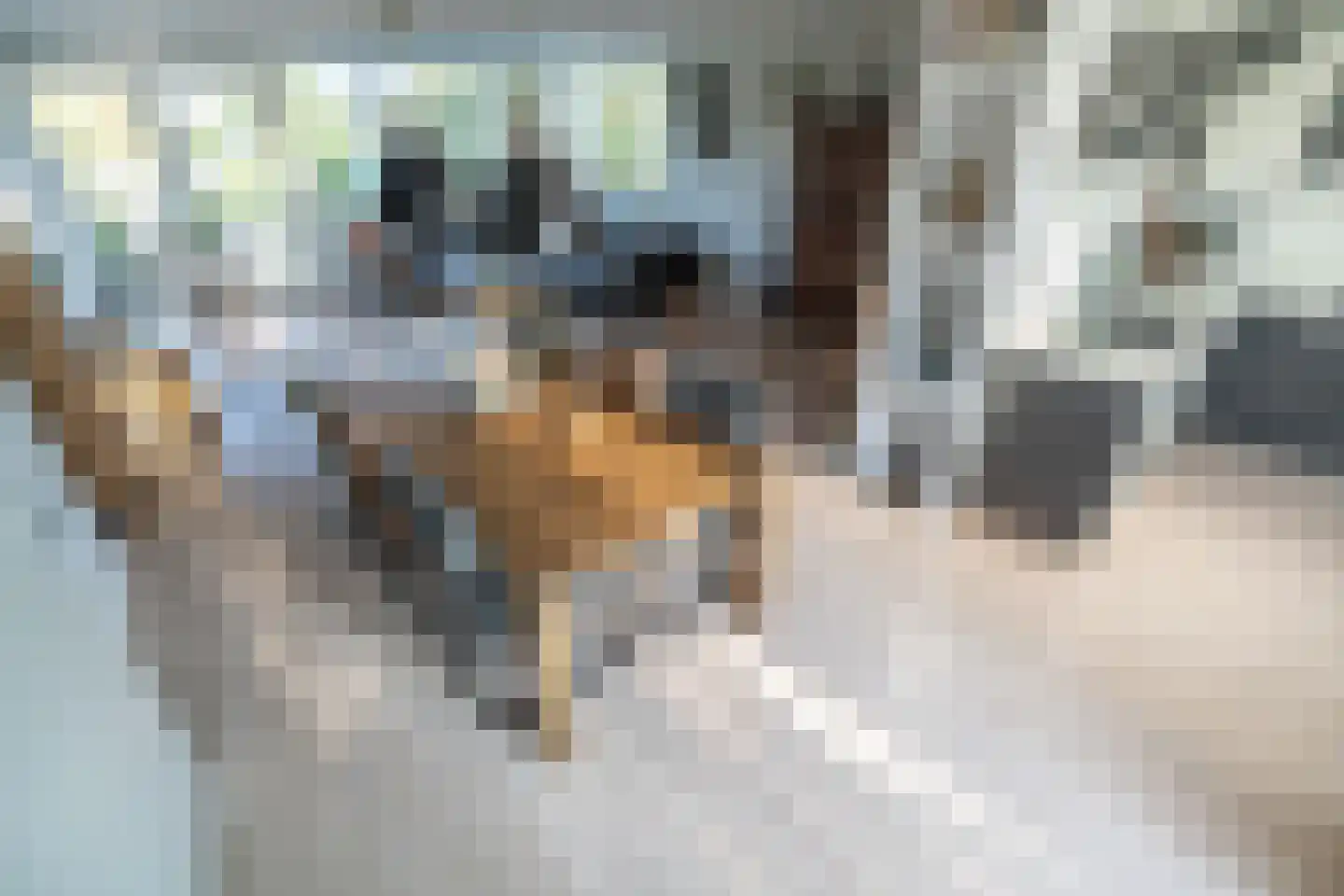 Noordbuurtsehof 52 Zoeterwoude thumbnail 4