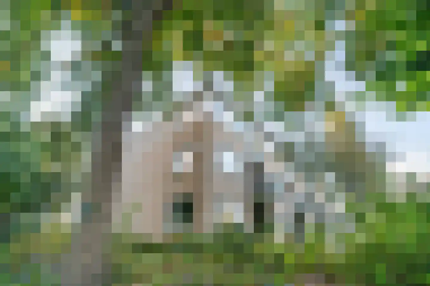 Noordbuurtsehof 52 Zoeterwoude thumbnail 46