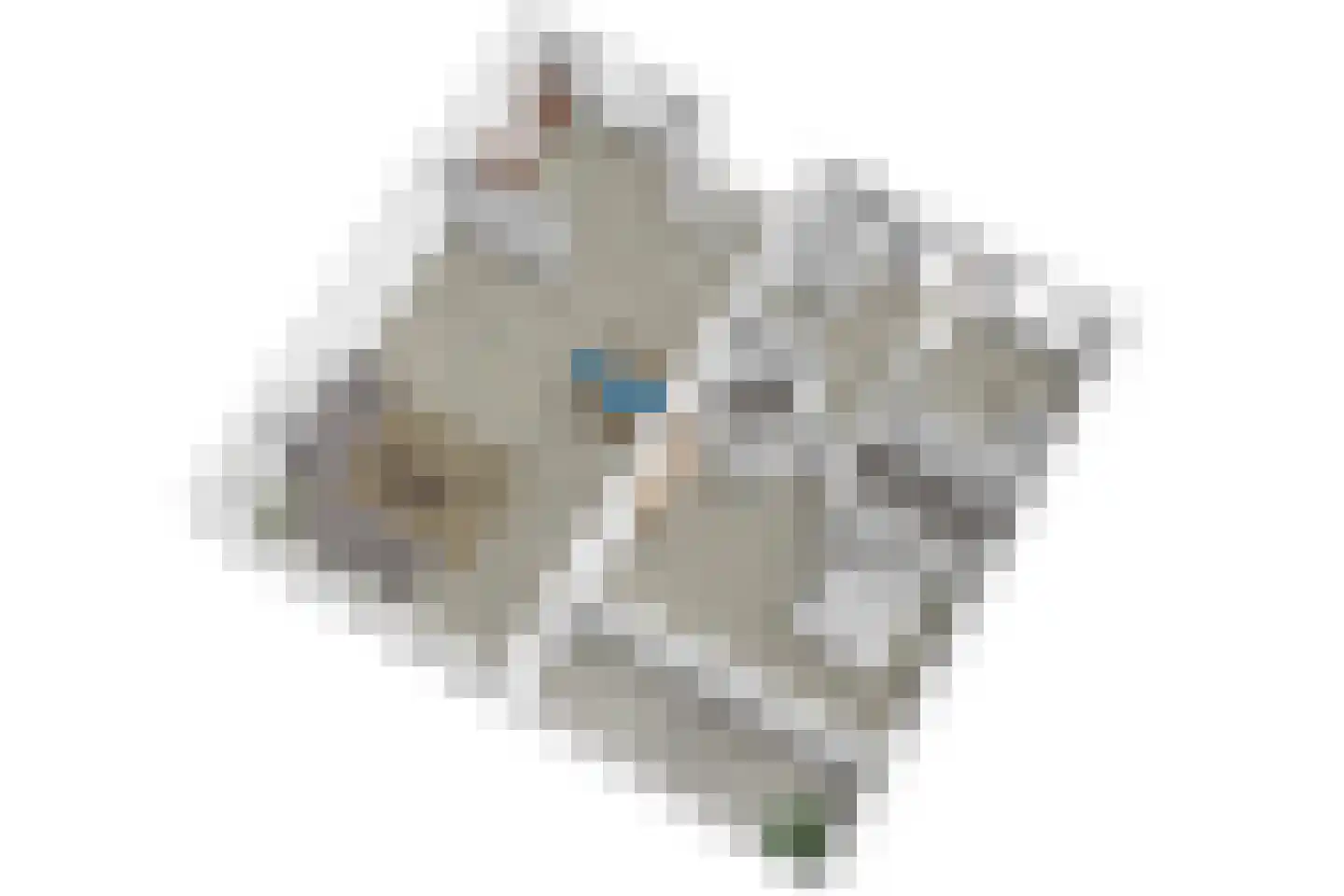 Noordbuurtsehof 52 Zoeterwoude thumbnail 51