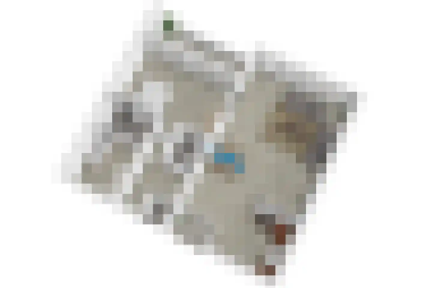 Noordbuurtsehof 52 Zoeterwoude thumbnail 52