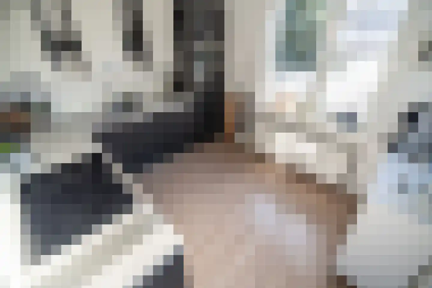 Noordbuurtsehof 52 Zoeterwoude thumbnail 8