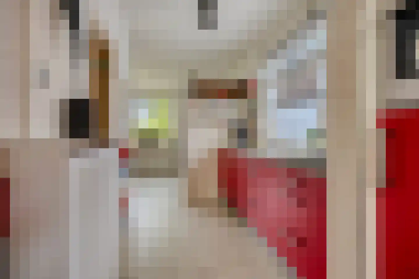 Noordbuurtseweg 18 Zoeterwoude thumbnail 18