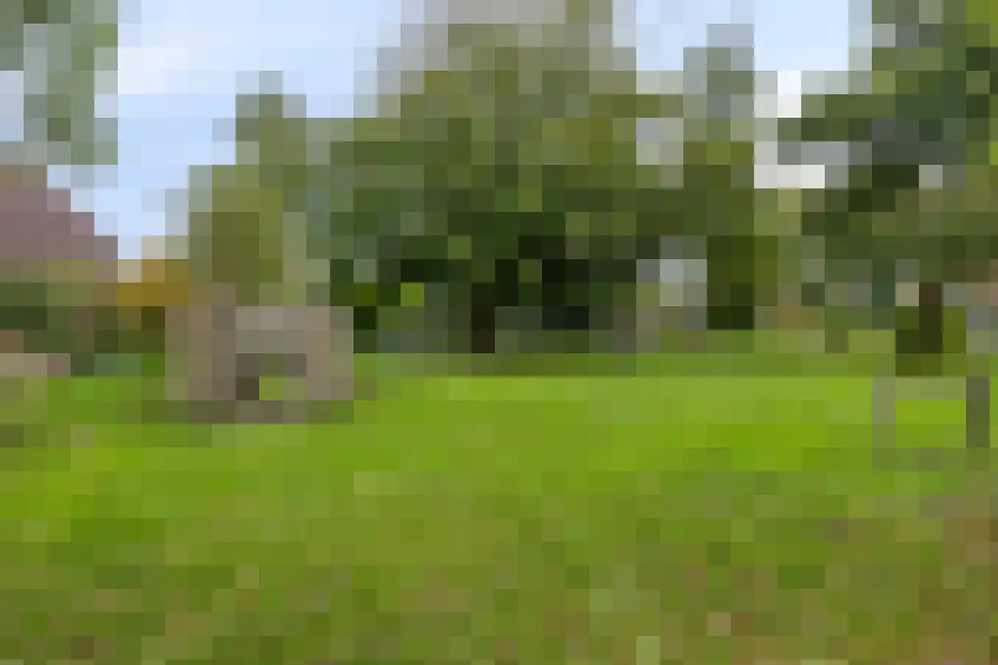 Noordbuurtseweg 18 Zoeterwoude thumbnail 33