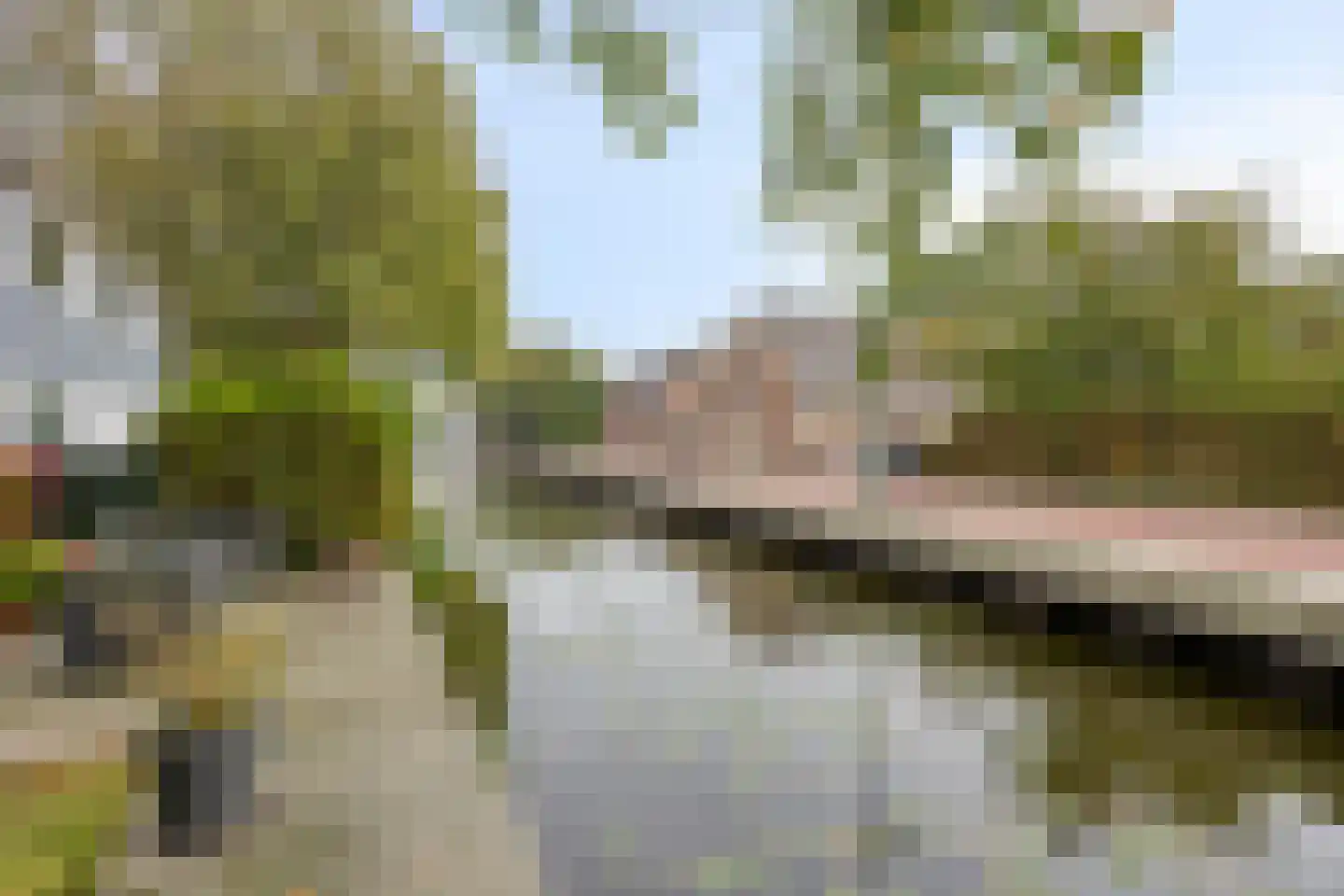 Noordbuurtseweg 18 Zoeterwoude thumbnail 6