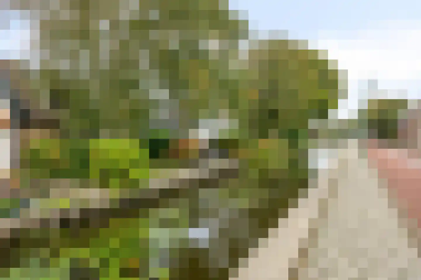 Noordbuurtseweg 18 Zoeterwoude thumbnail 7