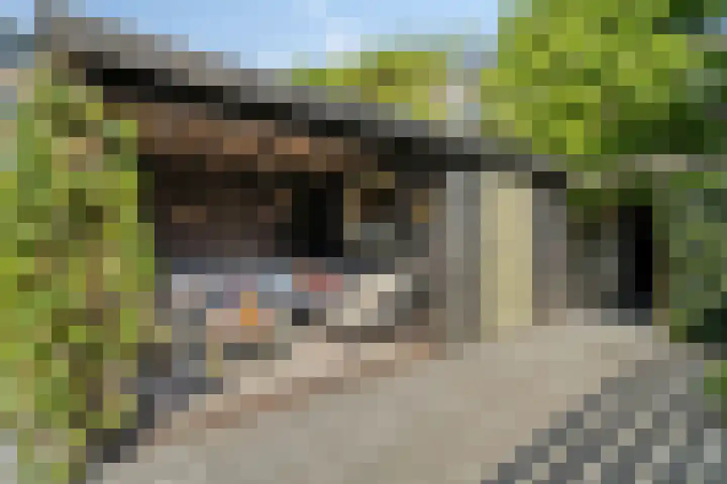 Noordbuurtseweg 29 A Zoeterwoude thumbnail 9