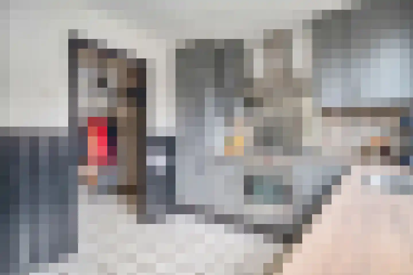 Noordbuurtseweg 33 B Zoeterwoude thumbnail 10