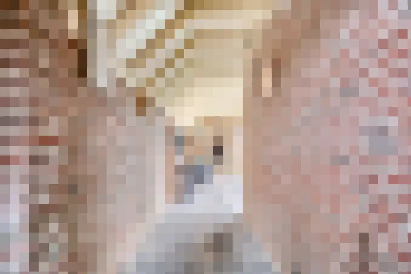 Noordbuurtseweg 33 B Zoeterwoude thumbnail 12