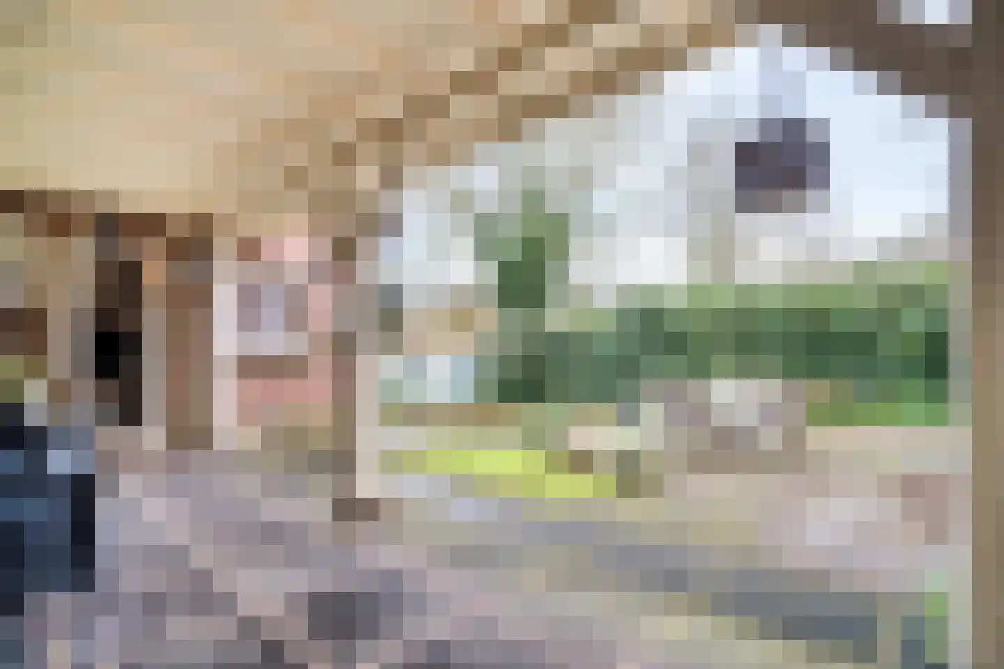 Noordbuurtseweg 33 B Zoeterwoude thumbnail 13