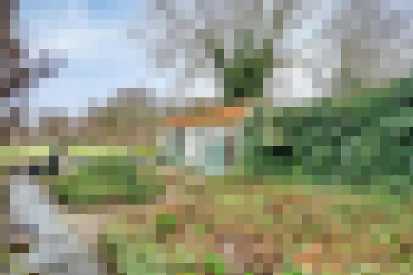 Noordbuurtseweg 33 B Zoeterwoude thumbnail 15
