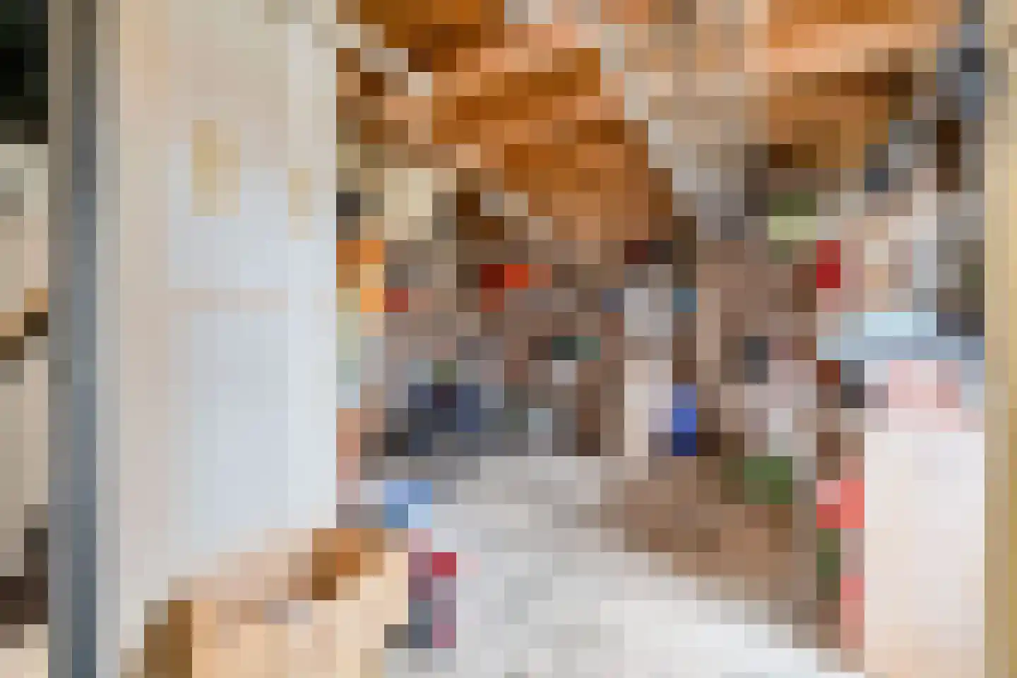 Noordbuurtseweg 33 B Zoeterwoude thumbnail 16