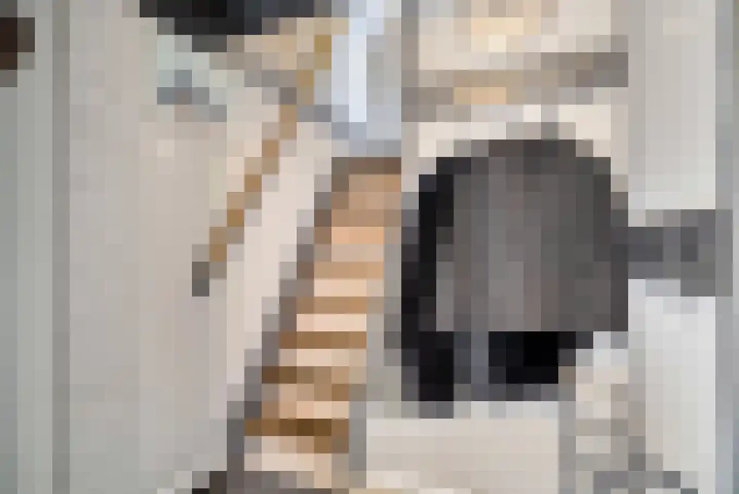 Noordbuurtseweg 33 B Zoeterwoude thumbnail 18