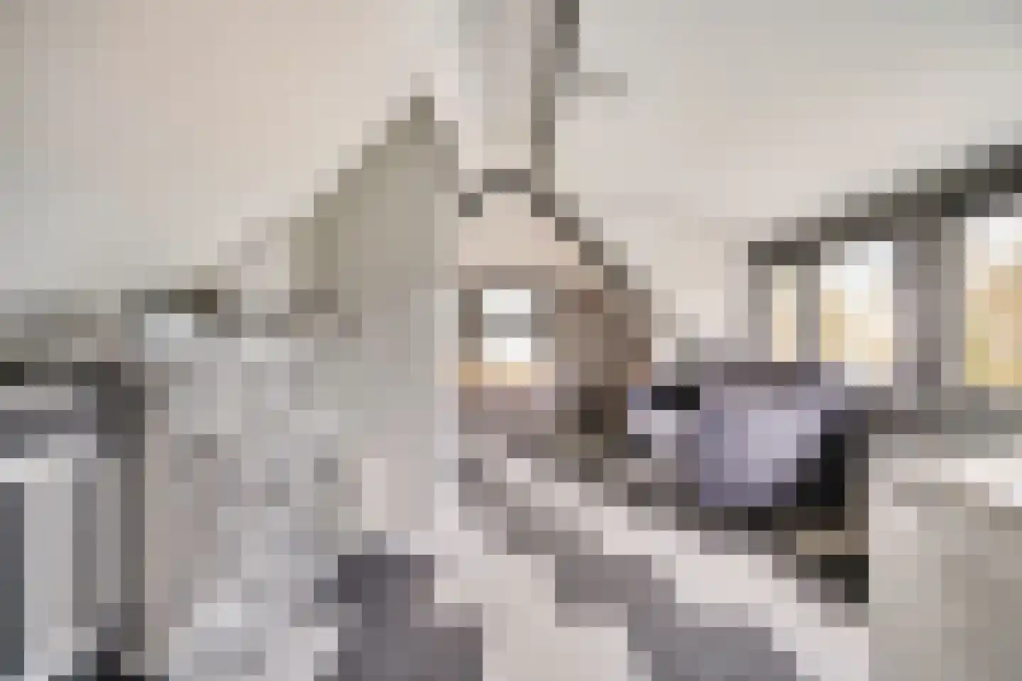 Noordbuurtseweg 33 B Zoeterwoude thumbnail 19