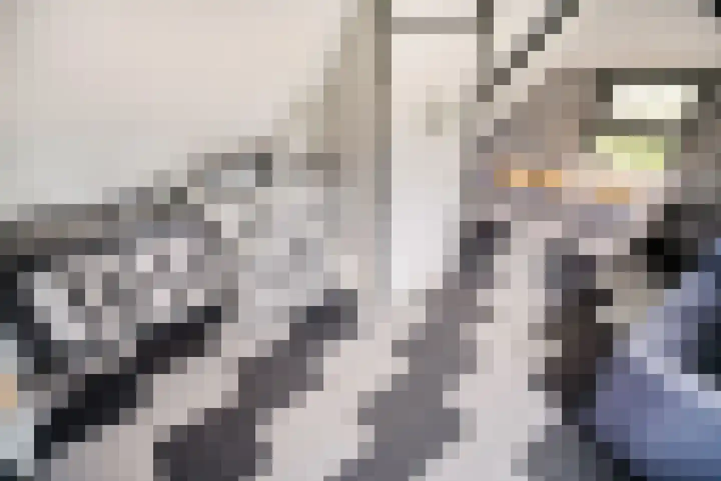 Noordbuurtseweg 33 B Zoeterwoude thumbnail 20