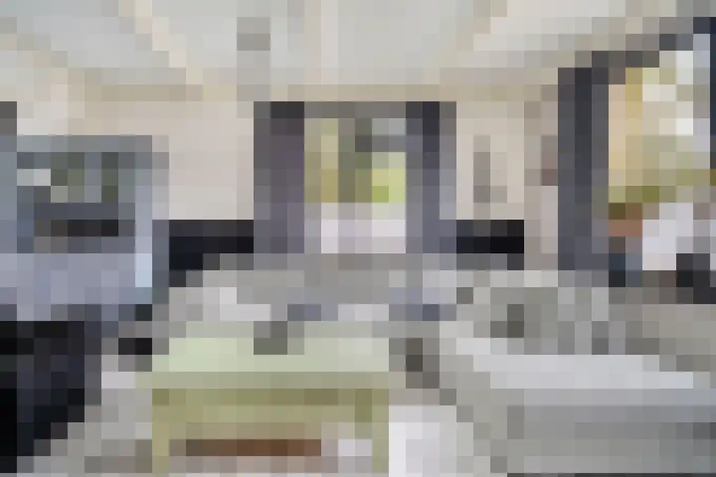 Noordbuurtseweg 33 B Zoeterwoude thumbnail 29