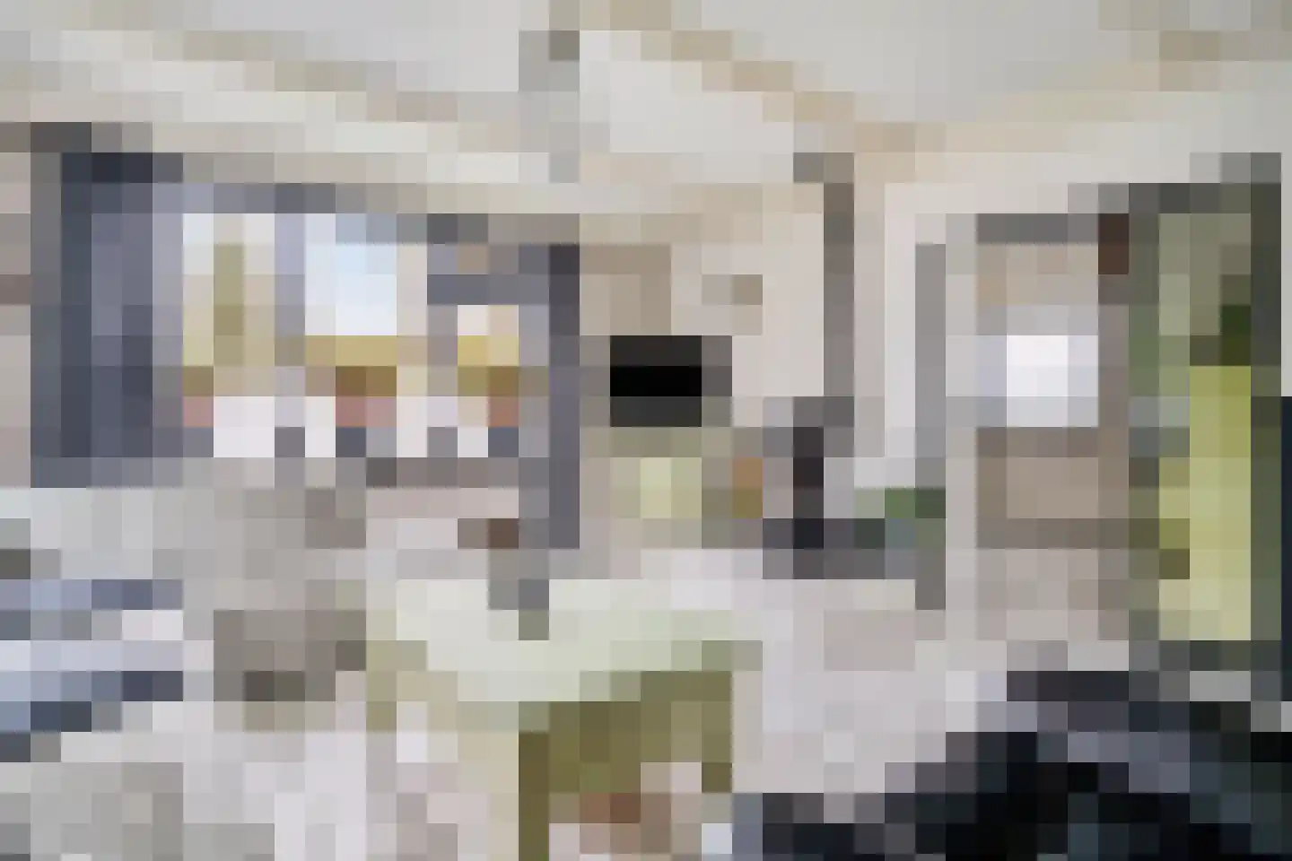 Noordbuurtseweg 33 B Zoeterwoude thumbnail 30
