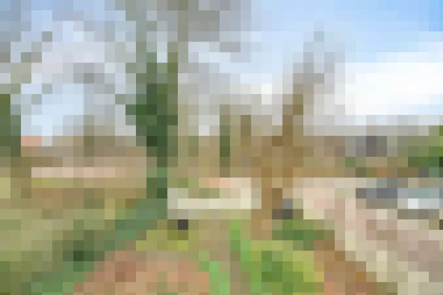 Noordbuurtseweg 33 B Zoeterwoude thumbnail 36