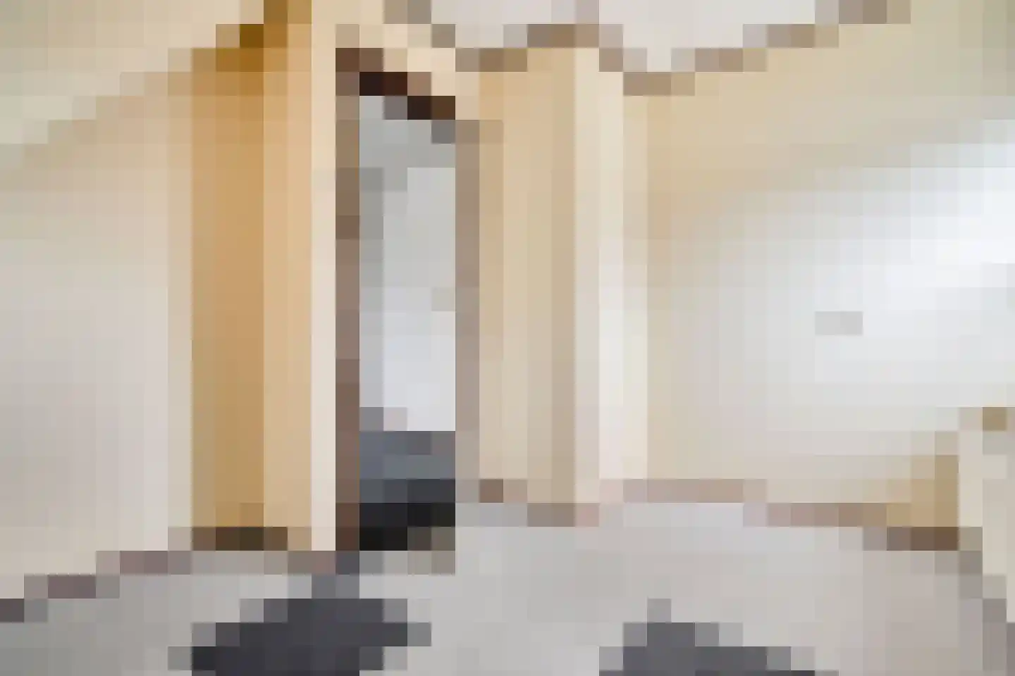 Noordbuurtseweg 33 B Zoeterwoude thumbnail 37