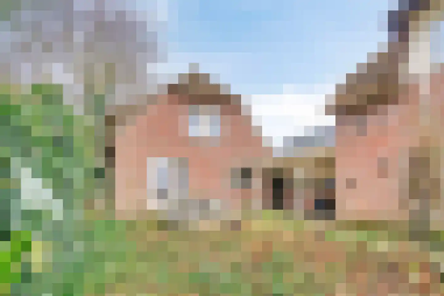 Noordbuurtseweg 33 B Zoeterwoude thumbnail 4