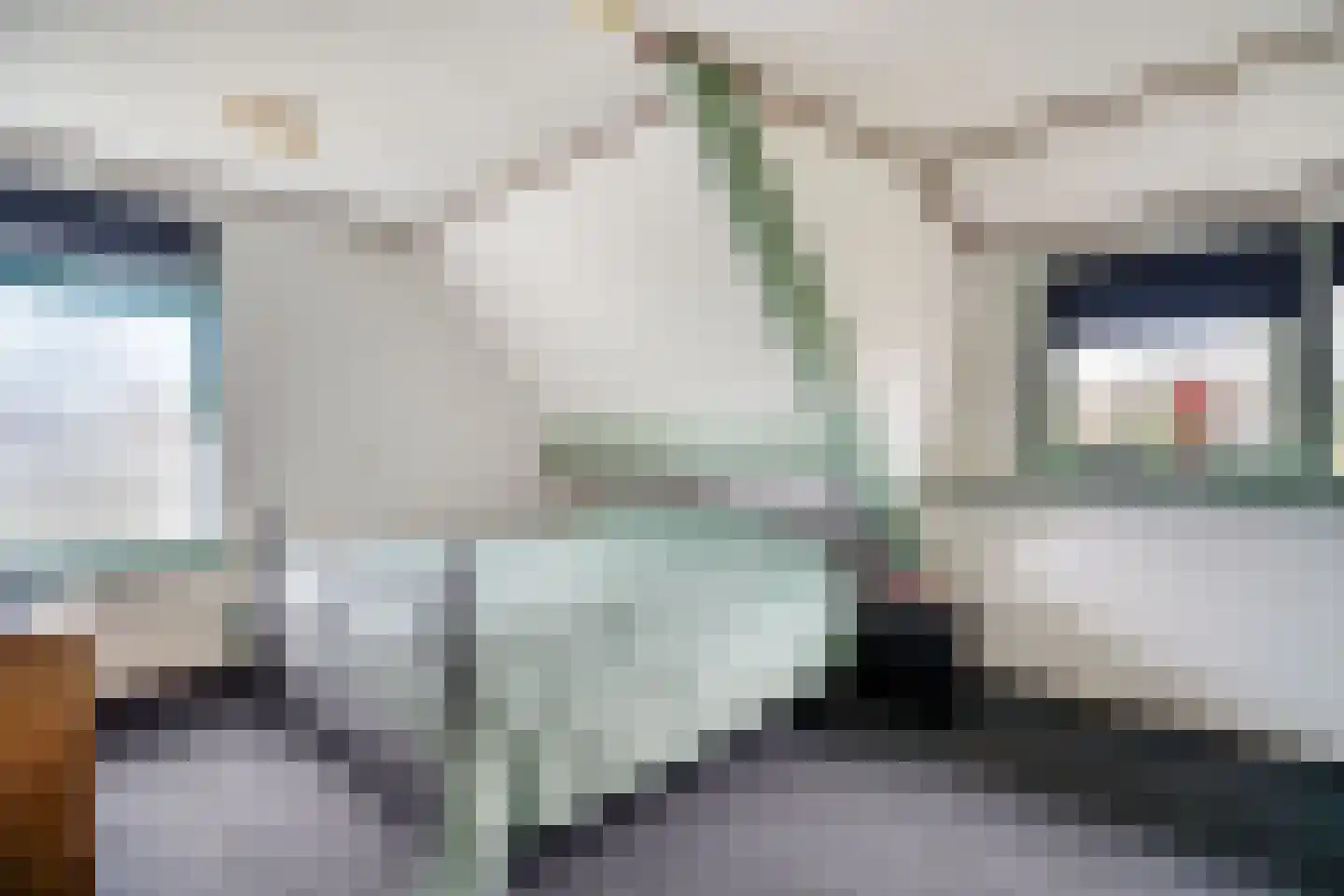 Noordbuurtseweg 33 B Zoeterwoude thumbnail 40