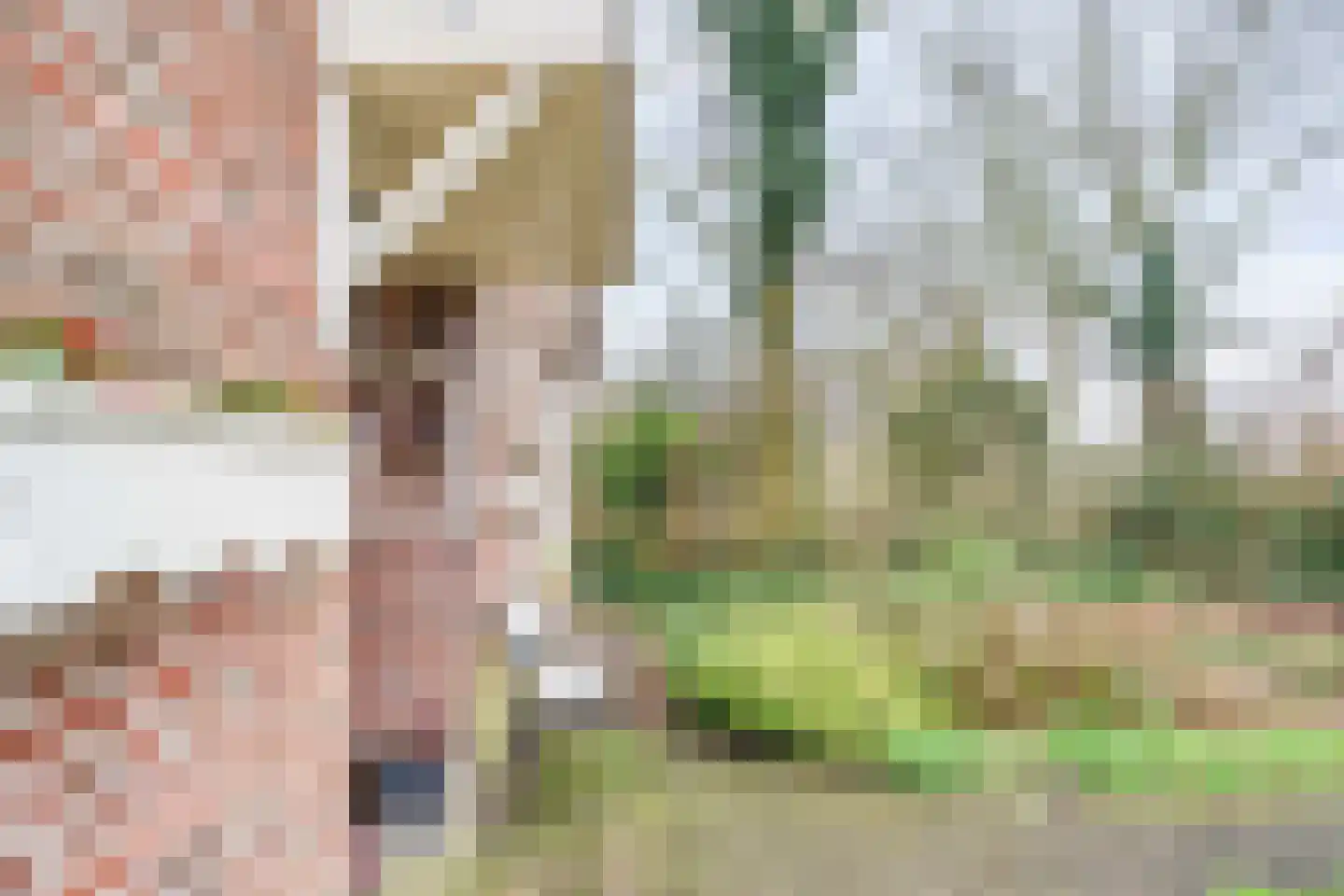 Noordbuurtseweg 33 B Zoeterwoude thumbnail 46