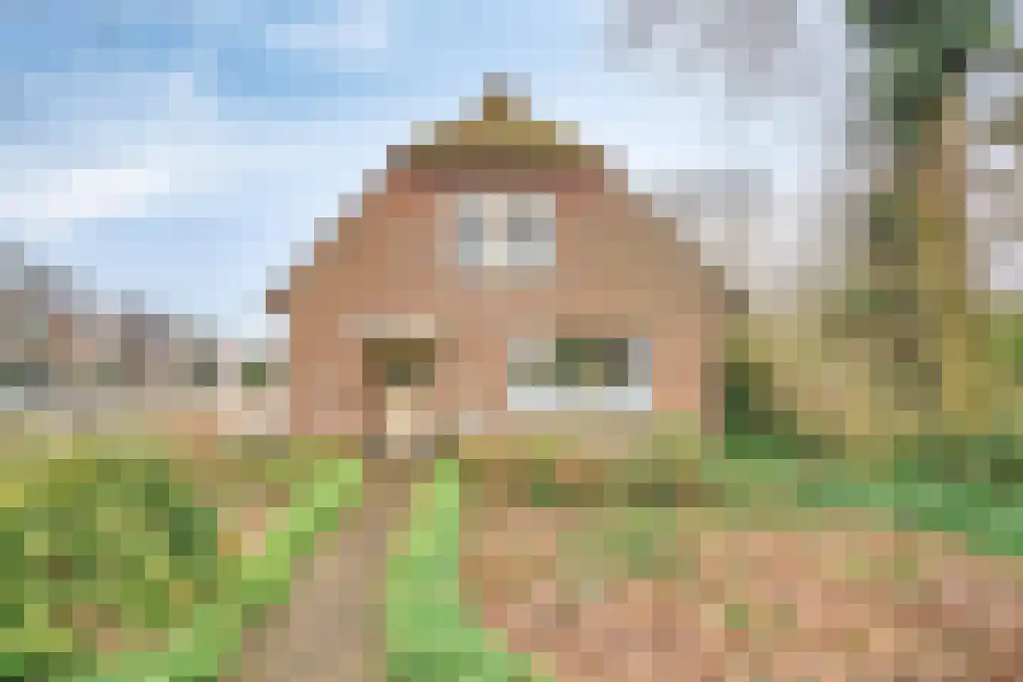 Noordbuurtseweg 33 B Zoeterwoude thumbnail 48