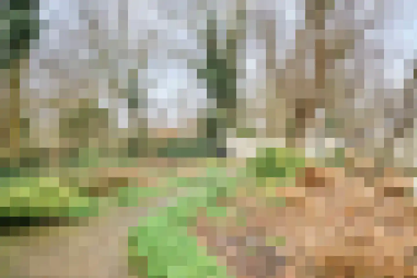 Noordbuurtseweg 33 B Zoeterwoude thumbnail 49