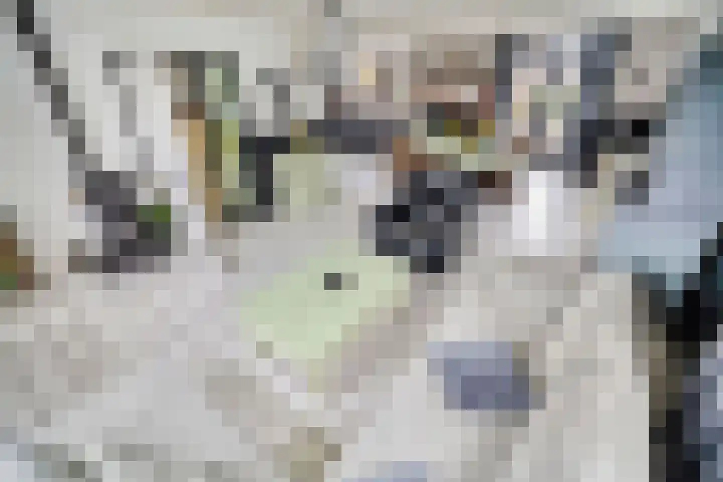 Noordbuurtseweg 33 B Zoeterwoude thumbnail 5