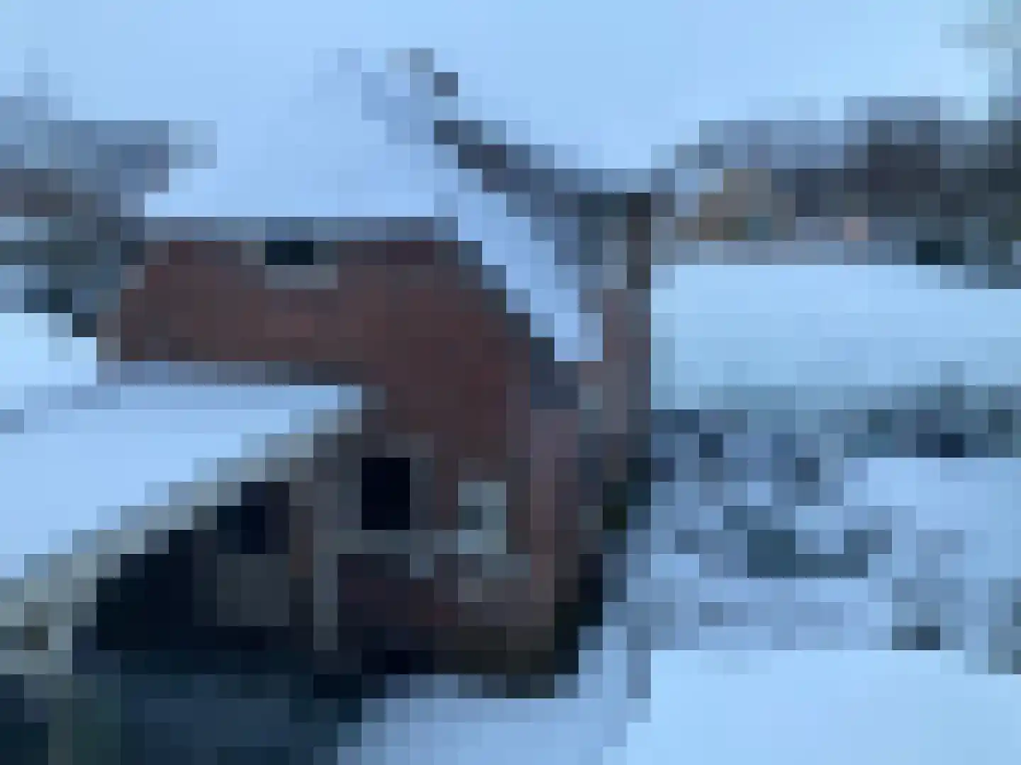 Noordbuurtseweg 33 B Zoeterwoude thumbnail 53