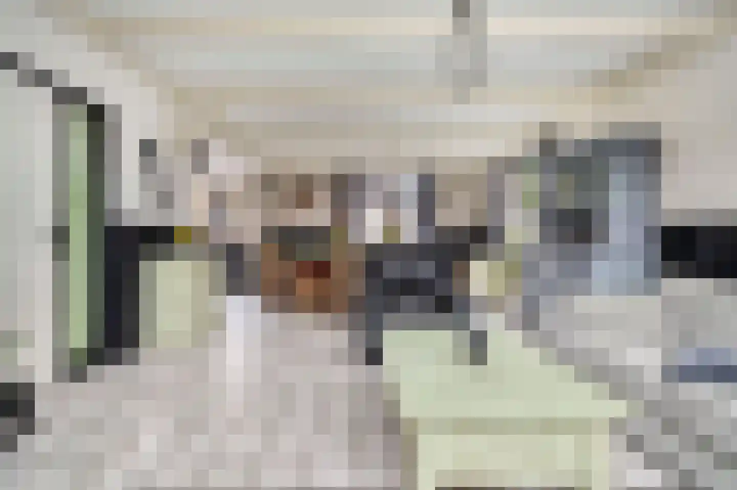 Noordbuurtseweg 33 B Zoeterwoude thumbnail 6