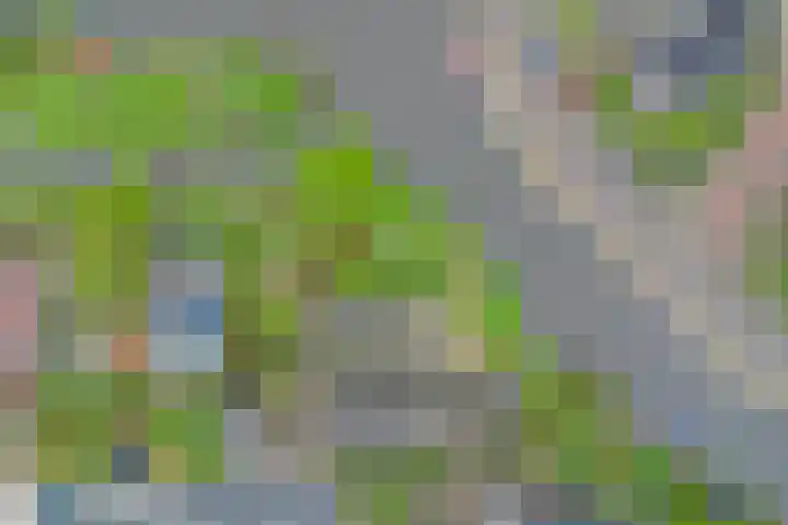 Noordbuurtseweg 35 Zoeterwoude thumbnail 33