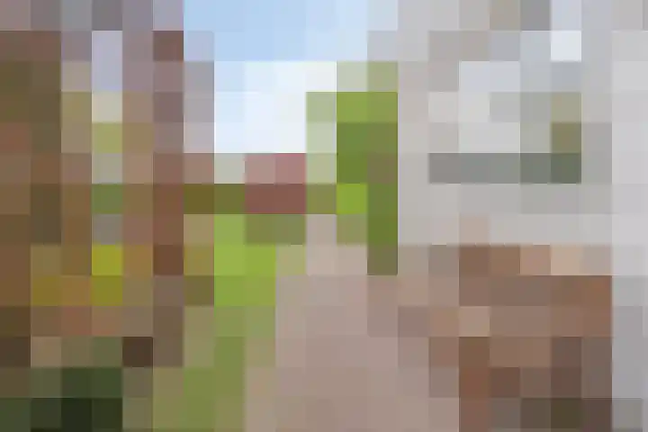 Noordbuurtseweg 35 Zoeterwoude thumbnail 35