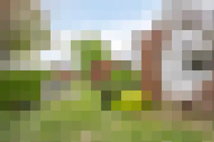 Noordbuurtseweg 35 Zoeterwoude thumbnail 36