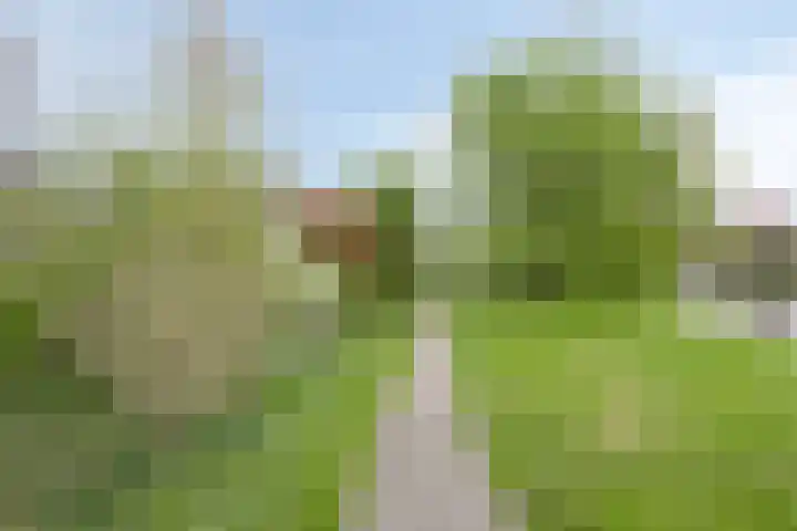 Noordbuurtseweg 35 Zoeterwoude thumbnail 39