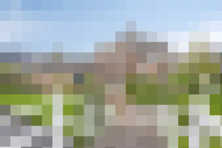 Noordbuurtseweg 35 Zoeterwoude thumbnail 4
