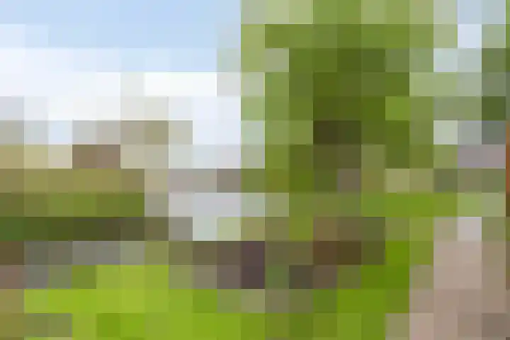 Noordbuurtseweg 35 Zoeterwoude thumbnail 41