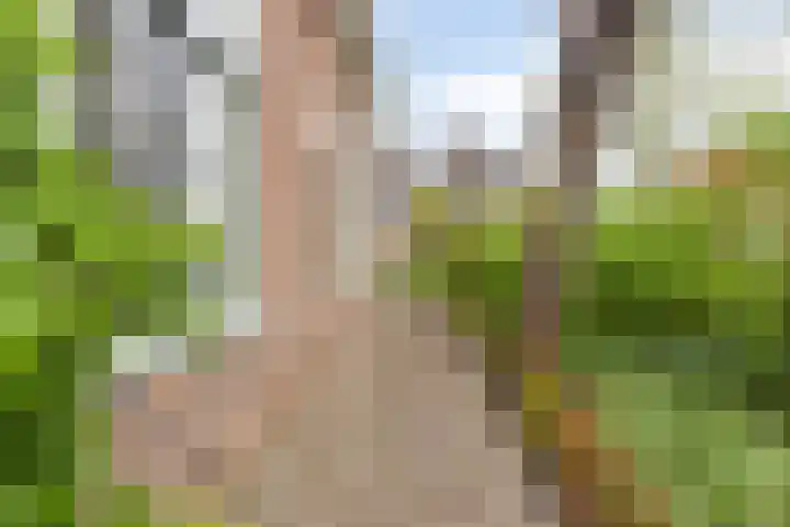 Noordbuurtseweg 35 Zoeterwoude thumbnail 43