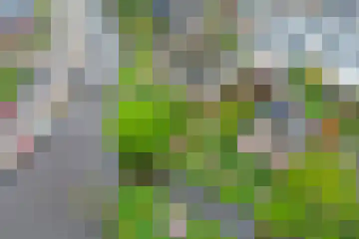 Noordbuurtseweg 35 Zoeterwoude thumbnail 44
